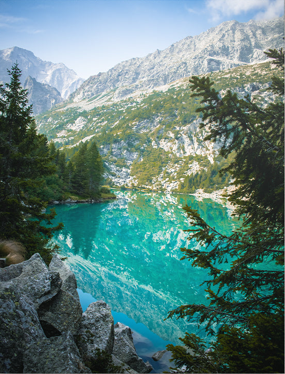 Nature