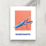 Sacred Mantis – Tableau minimaliste et inspirant