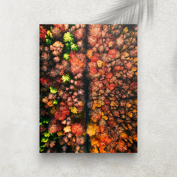 Autumn Forest Above – Affiche Forêt d’Automne Vue du Ciel