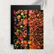 Autumn Forest Above – Affiche Forêt d’Automne Vue du Ciel