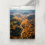 Autumn Forest – Affiche Forêt d’Automne & Route Sauvage