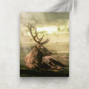 King Forest Sleeping – Affiche Cerf au Repos & Nature Sauvage