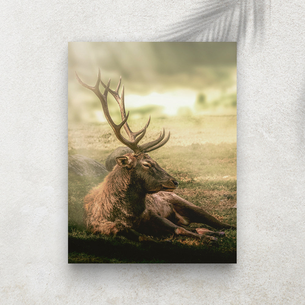 King Forest Sleeping – Affiche Cerf au Repos & Nature Sauvage