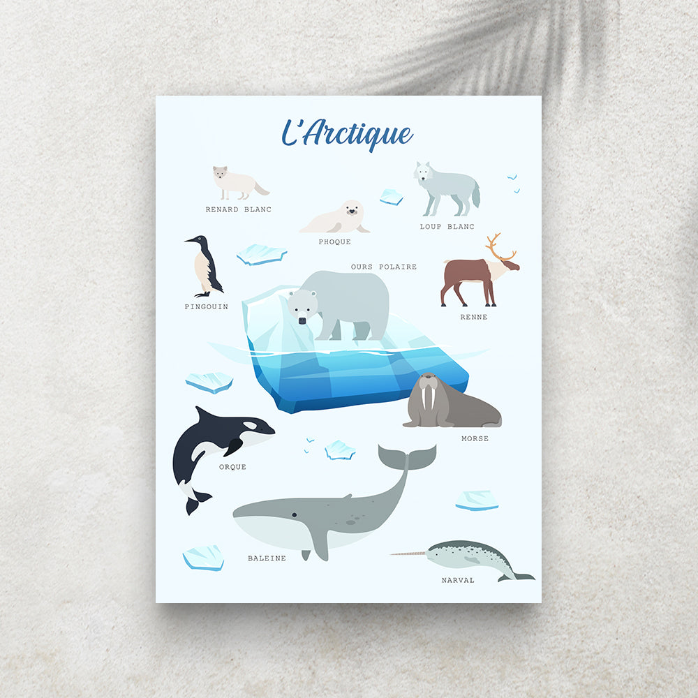 L’Arctique – Imagier Enfant des Animaux Polaires