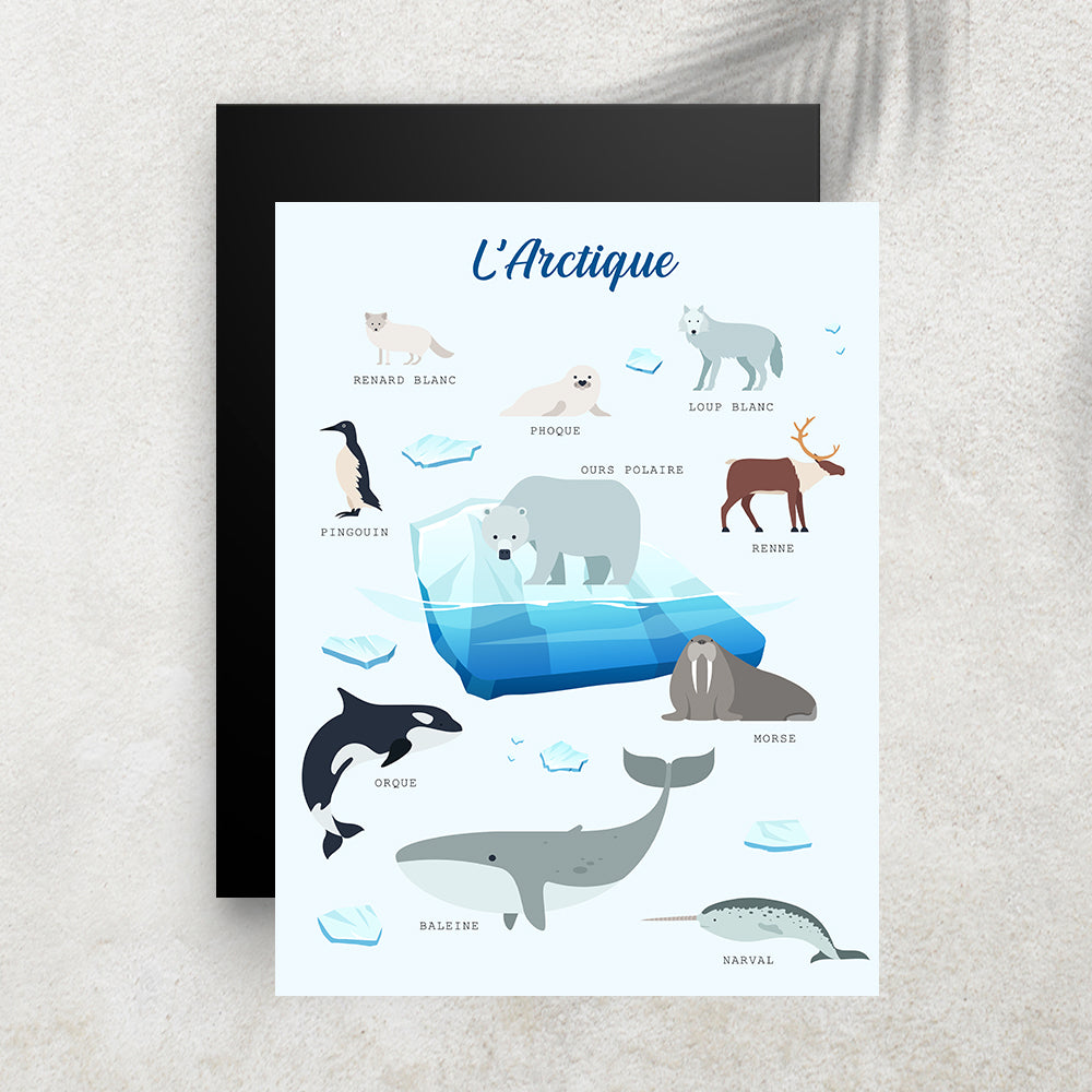 L’Arctique – Imagier Enfant des Animaux Polaires