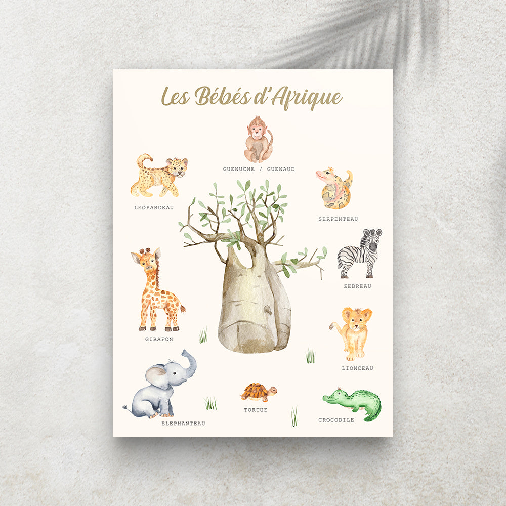 Les Bébés d’Afrique – Imagier Enfant des Animaux d’Afrique