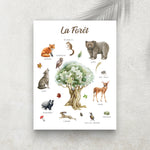 La Forêt – Imagier Enfant des Animaux de la Forêt