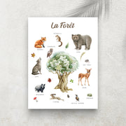 La Forêt – Imagier Enfant des Animaux de la Forêt