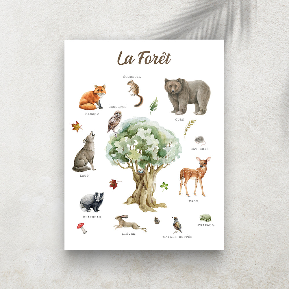 La Forêt – Imagier Enfant des Animaux de la Forêt