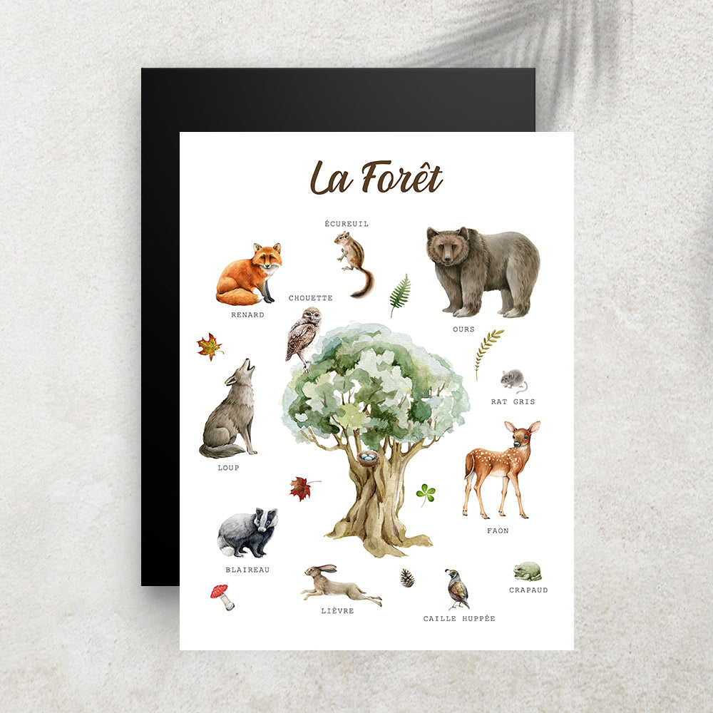 La Forêt – Imagier Enfant des Animaux de la Forêt