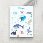 L’Océan – Imagier Enfant des Animaux Marins