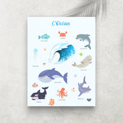 L’Océan – Imagier Enfant des Animaux Marins