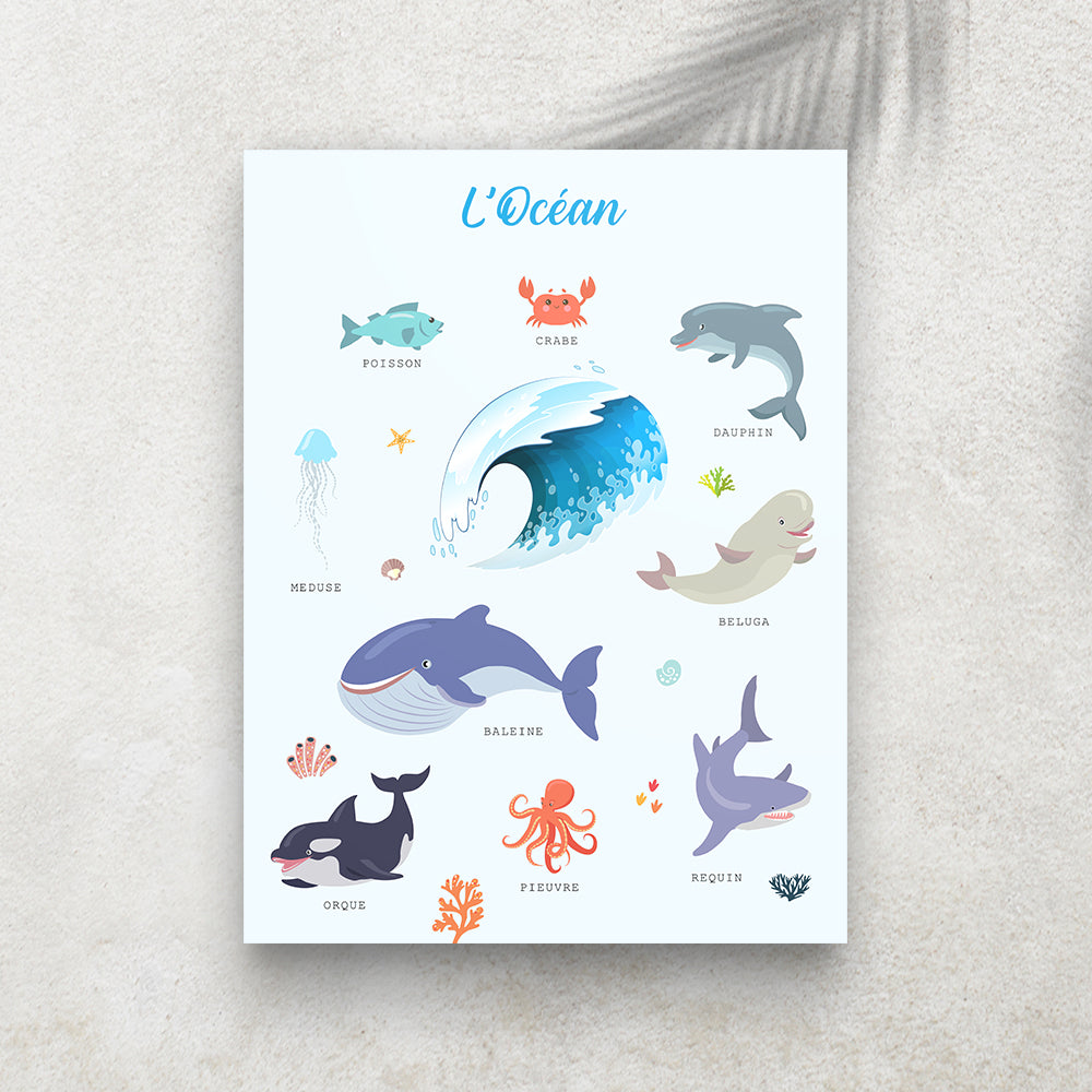L’Océan – Imagier Enfant des Animaux Marins