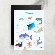 L’Océan – Imagier Enfant des Animaux Marins