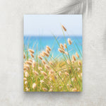 Bunny Tails – Affiche Nature & Océan