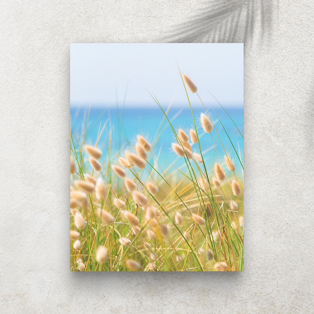 Bunny Tails – Affiche Nature & Océan