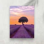 Gardiens des Lavandes – Affiche Provence & Nature
