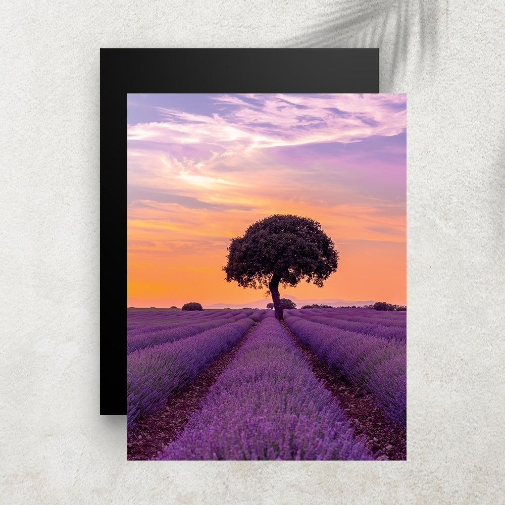 Gardiens des Lavandes – Affiche Provence & Nature