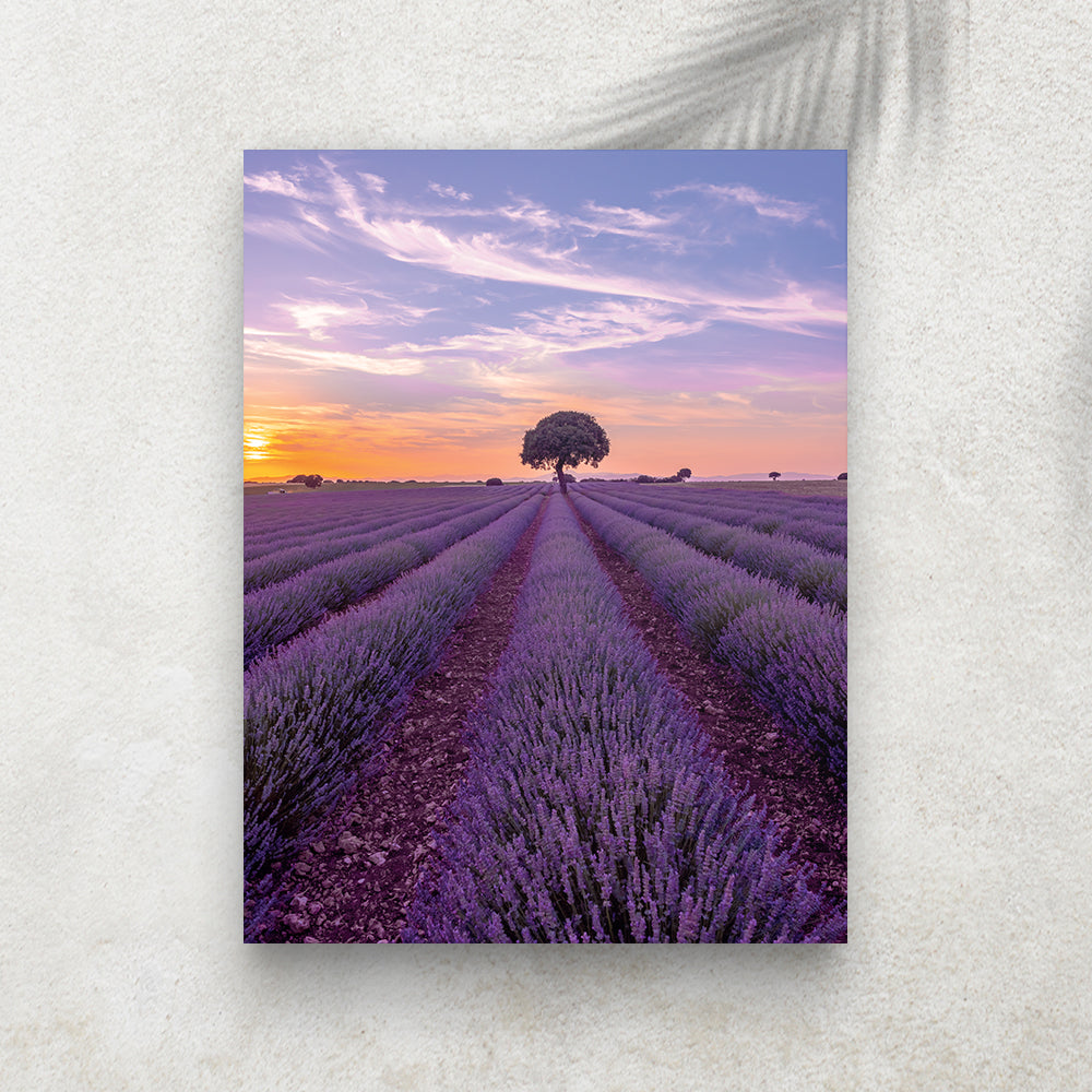 L’Heure Lavande – Affiche Provence & Coucher de Soleil