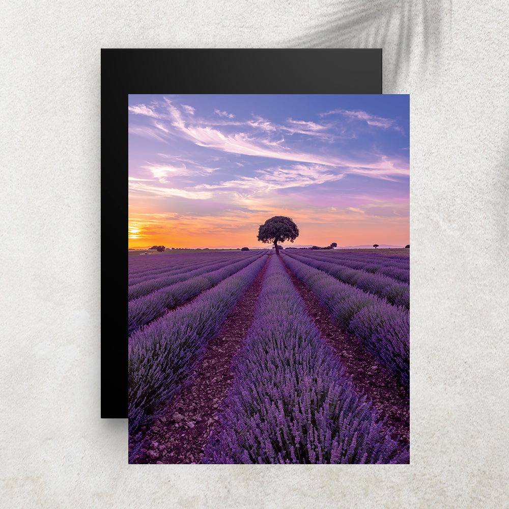 L’Heure Lavande – Affiche Provence & Coucher de Soleil