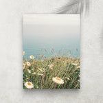 Marguerite Océan – Affiche Nature & Bord de Mer