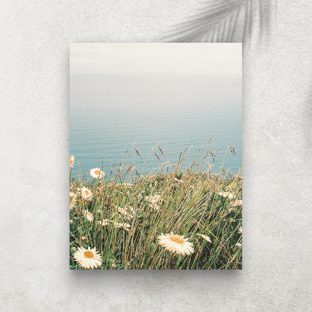 Marguerite Océan – Affiche Nature & Bord de Mer