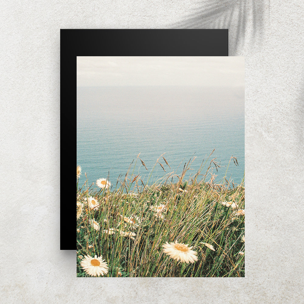 Marguerite Océan – Affiche Nature & Bord de Mer