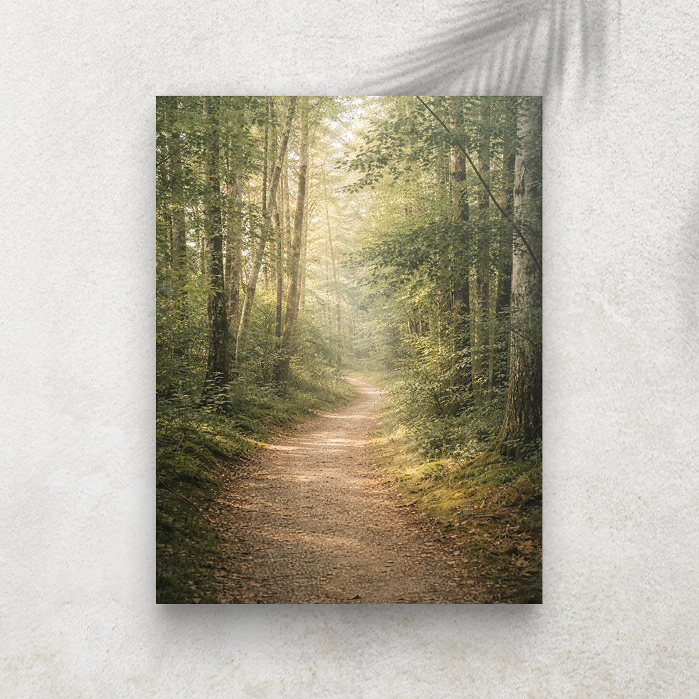 Chemin en Forêt Lumineuse – Tableau Paysage Nature et Zen