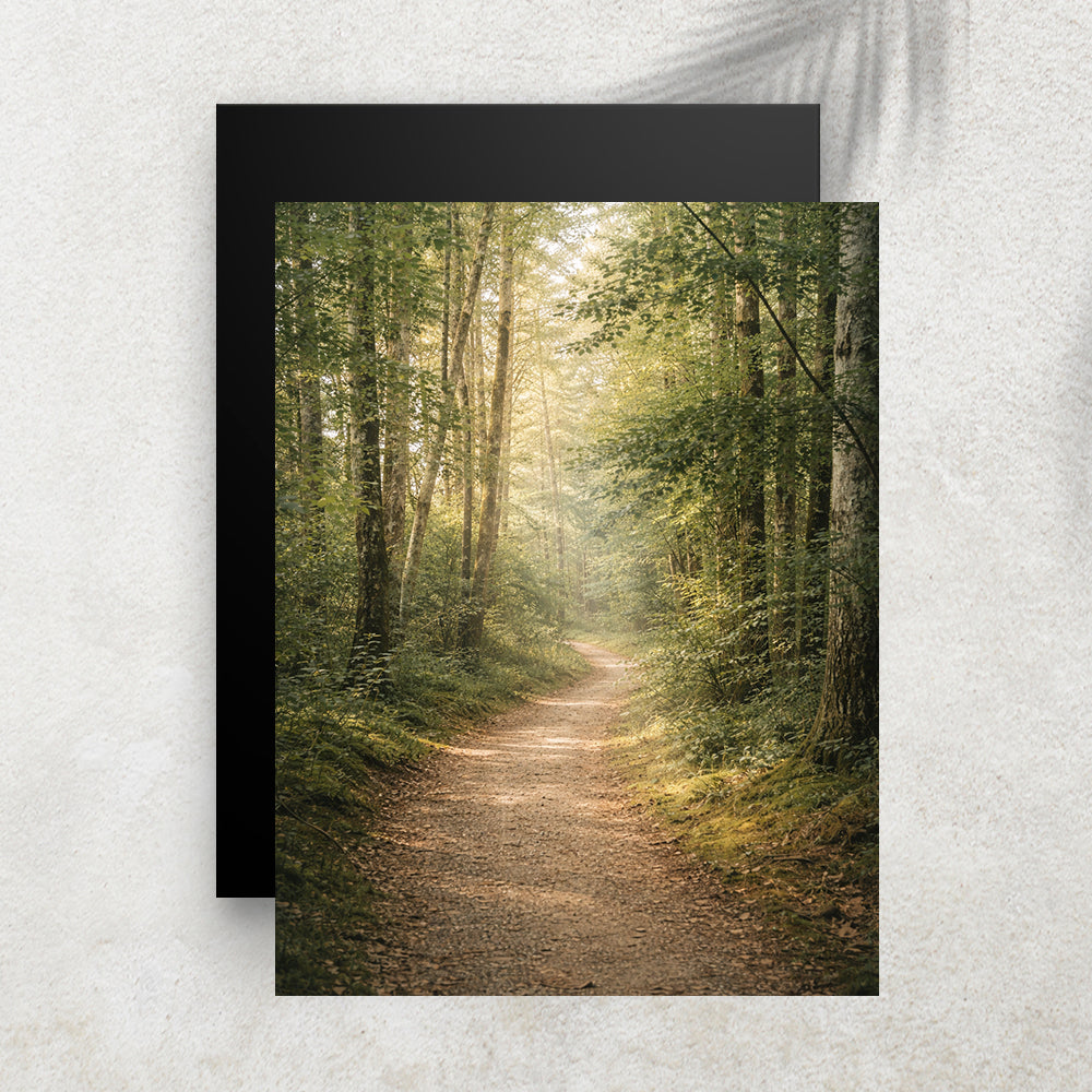 Chemin en Forêt Lumineuse – Tableau Paysage Nature et Zen