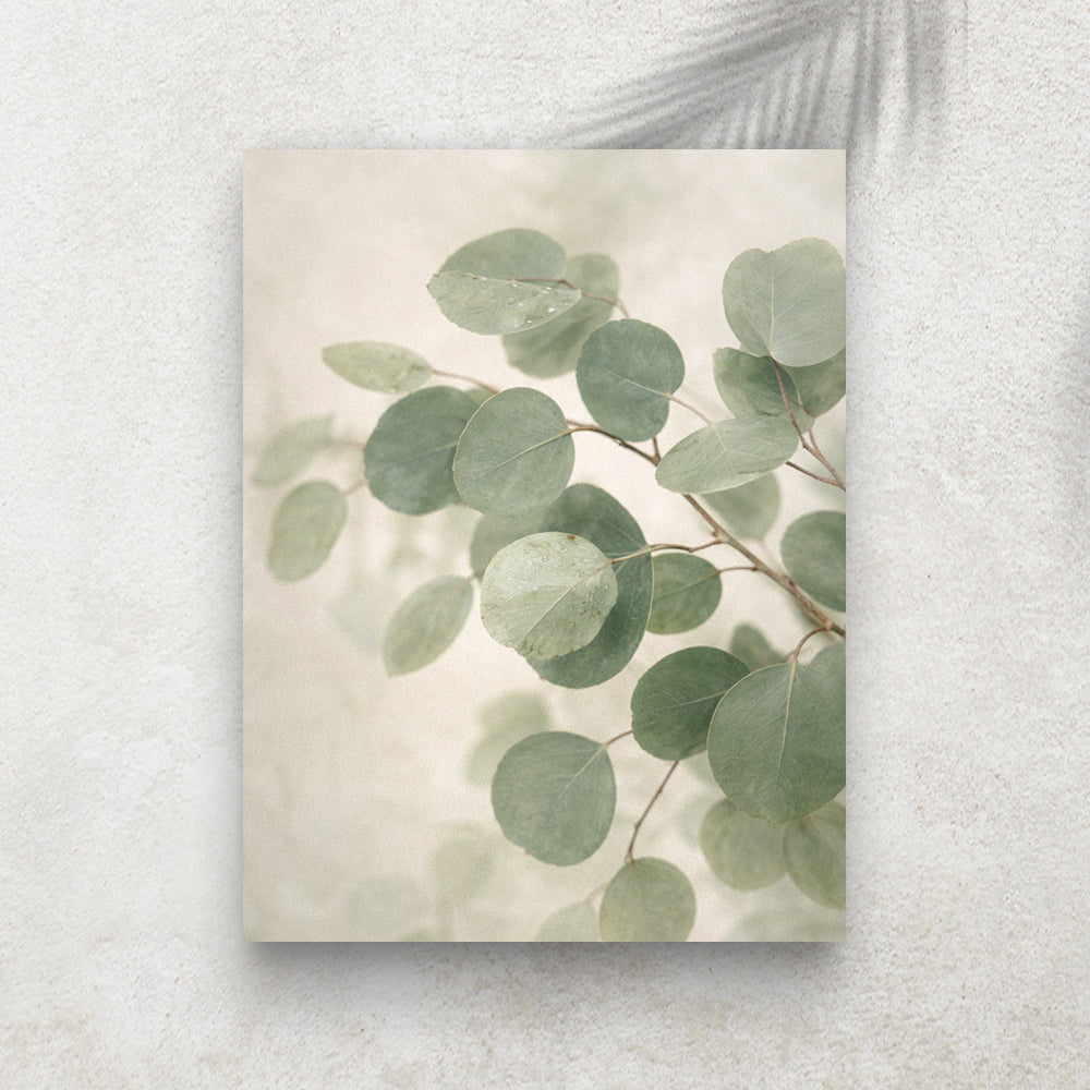 Feuilles d’Eucalyptus – Tableau Paysage Nature et Zen