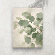 Feuilles d’Eucalyptus – Tableau Paysage Nature et Zen