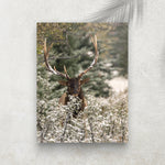 Cerf dans la Forêt – Affiche Hiver