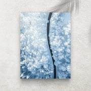 White Forest – Affiche Hiver