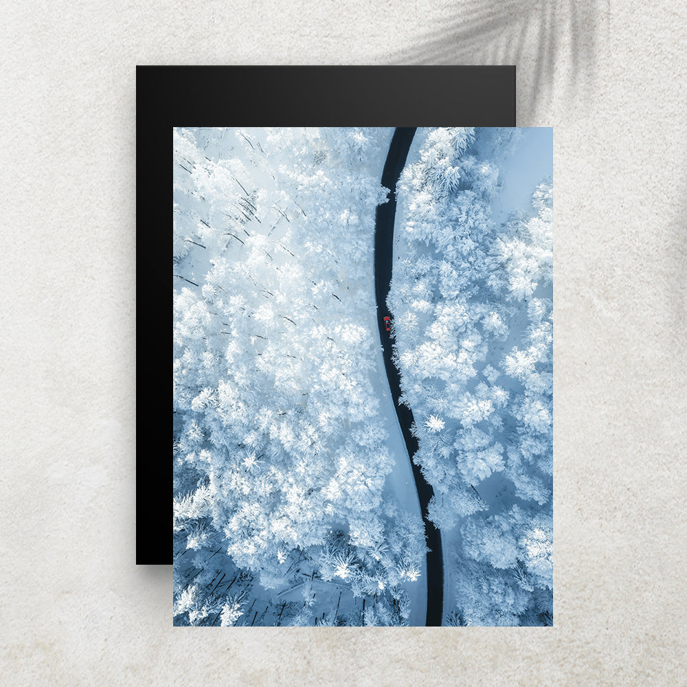 White Forest – Affiche Hiver
